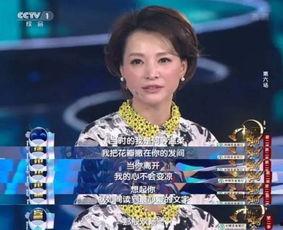 爆料董卿的火哥视频大全,揭秘幕后故事与精彩瞬间